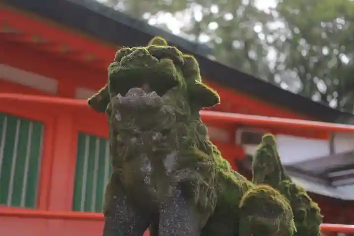 住吉神社の狛犬