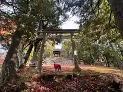 金比羅神社(京都府)