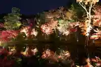 高台寺(高台寿聖禅寺・高臺寺)(京都府)