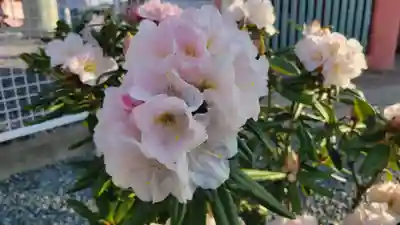 津観音(三重県)