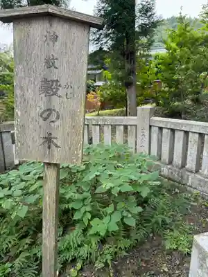諏訪大社上社前宮(長野県)