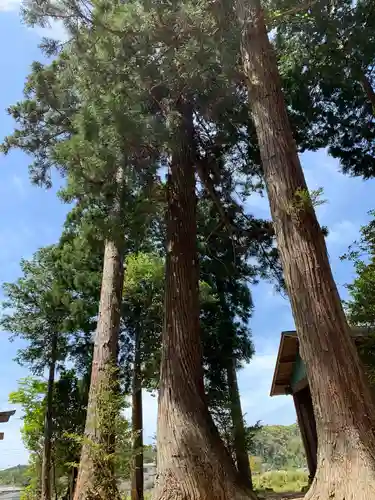 瀧口神社の自然