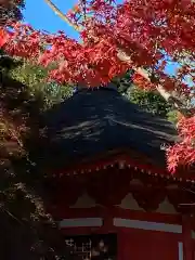 東福禅寺（東福寺）(京都府)