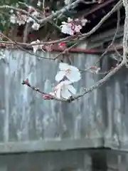 金蛇水神社(宮城県)