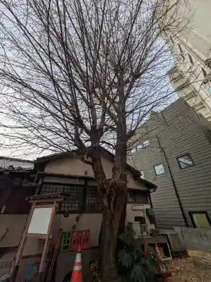 宗参寺大辨財天堂(東京都)