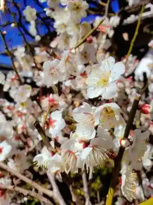 長善寺(東京都)