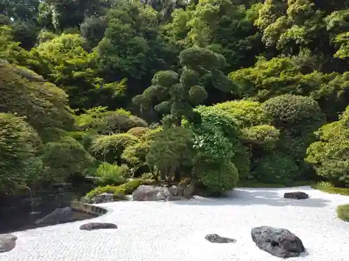 報国寺の庭園