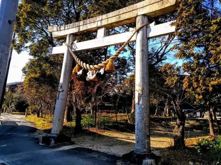 八幡社(牛田八幡社)の鳥居