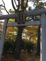 篠路神社の鳥居