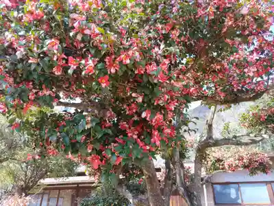 真福寺(岐阜県)