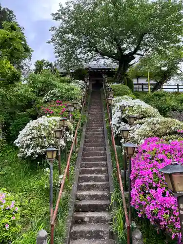 阿彌陀院(茨城県)