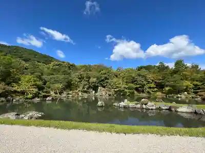 天龍寺の庭園