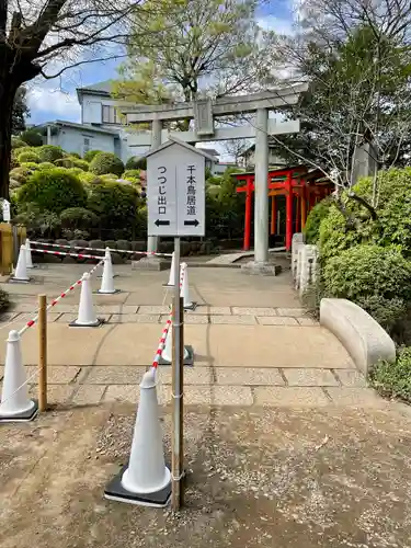 乙女稲荷神社の鳥居