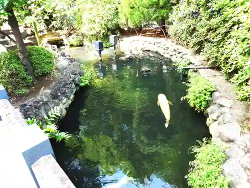 天祖諏訪神社(東京都)