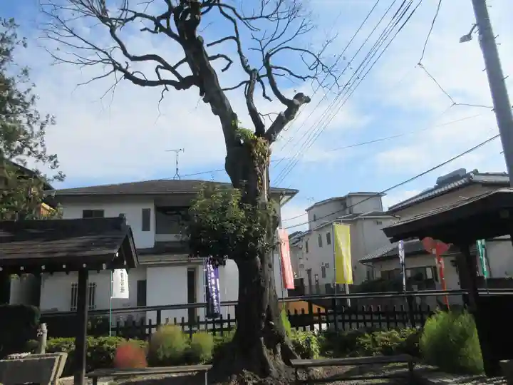 今宮坊(埼玉県)