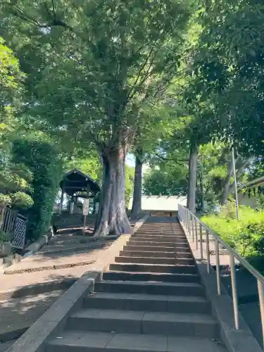 六角橋杉山大神(神奈川県)