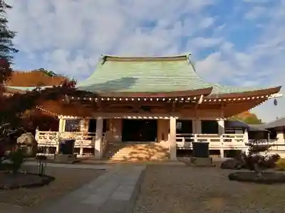 豪徳寺の本殿・本堂