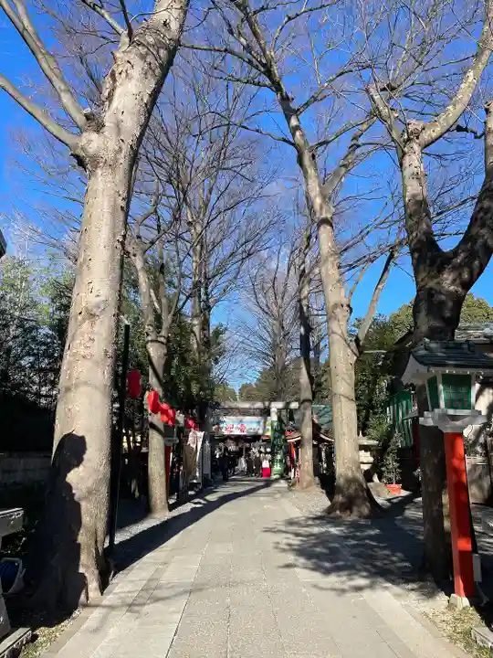 田無神社の自然