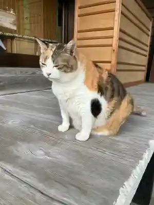 賀茂別雷神社(栃木県)