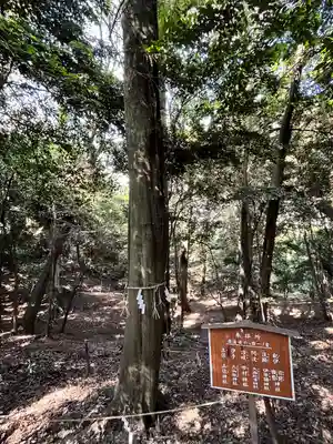 美具久留御魂神社の自然