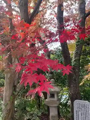 南蔵院(福岡県)