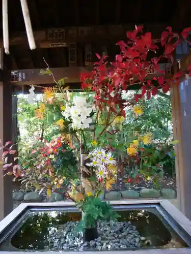 赤坂氷川神社(東京都)