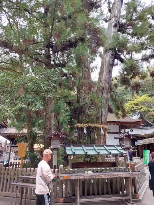 大神神社の{uncategorized: "未分類", other: "その他", undefined: "問題あり", building: "その他建物", grave: "お墓", sacred_gate: "鳥居", guardian: "狛犬", statue: "像", buddha: "仏像", history: "歴史", nature: "自然", garden: "庭園", animal: "動物", pagoda: "塔", temizu: "手水舎", mountain_gate: "山門・神門", sanctuary: "本殿・本堂", subordinate: "末社・摂社", art: "芸術", scenery: "景色", jizo: "地蔵", ema: "絵馬", goshuin: "御朱印", omikuji: "おみくじ", items: "授与品その他", amulet: "お守り", goshuincho: "御朱印帳", eats: "食事", festival: "お祭り", votive_dance: "神楽", shichigosan: "七五三参", wedding: "結婚式", experience: "体験その他", initially: "初詣", around: "周辺", anti_infection: "感染症対策"}