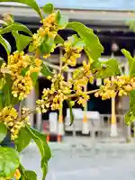 仙台八坂神社(宮城県)