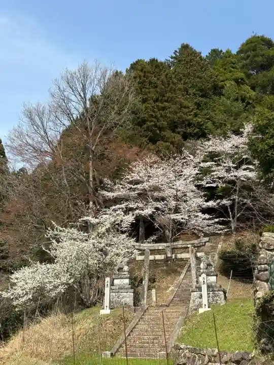 後有田八幡宮の{uncategorized: "未分類", other: "その他", undefined: "問題あり", building: "その他建物", grave: "お墓", sacred_gate: "鳥居", guardian: "狛犬", statue: "像", buddha: "仏像", history: "歴史", nature: "自然", garden: "庭園", animal: "動物", pagoda: "塔", temizu: "手水舎", mountain_gate: "山門・神門", sanctuary: "本殿・本堂", subordinate: "末社・摂社", art: "芸術", scenery: "景色", jizo: "地蔵", ema: "絵馬", goshuin: "御朱印", omikuji: "おみくじ", items: "授与品その他", amulet: "お守り", goshuincho: "御朱印帳", eats: "食事", festival: "お祭り", votive_dance: "神楽", shichigosan: "七五三参", wedding: "結婚式", experience: "体験その他", initially: "初詣", around: "周辺", anti_infection: "感染症対策"}