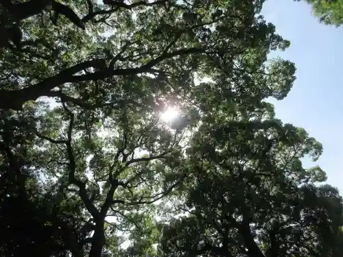星川杉山神社(神奈川県)