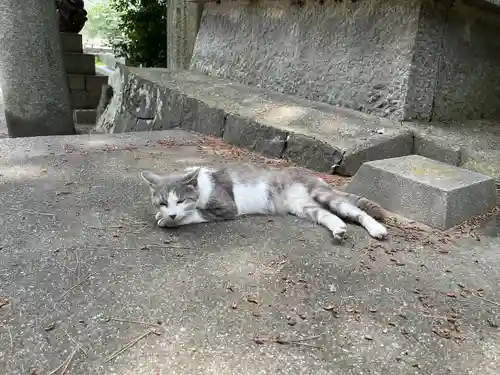 琴彈八幡宮(香川県)