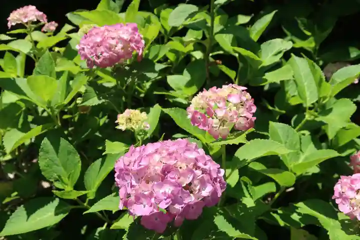 性海寺(愛知県)