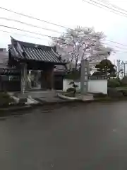 清浄院の山門