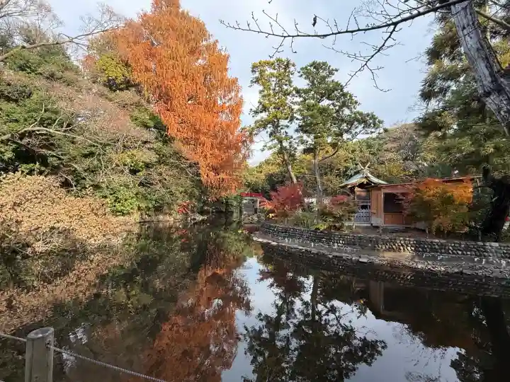 武蔵一宮氷川神社(埼玉県)