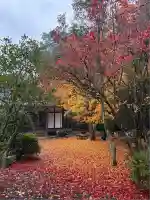 金剛定寺(滋賀県)