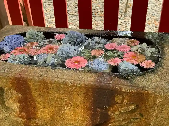 黄龍神社(新潟県)