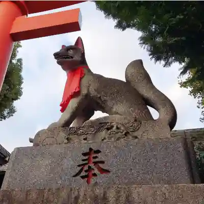 京濱伏見稲荷神社の狛犬