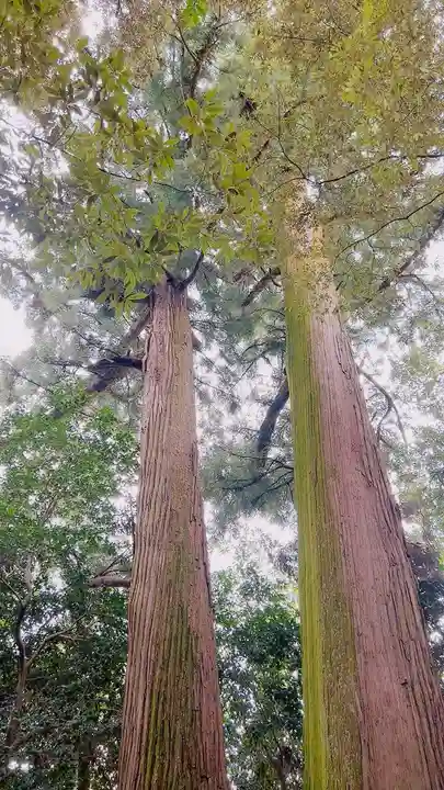 佐那神社(三重県)