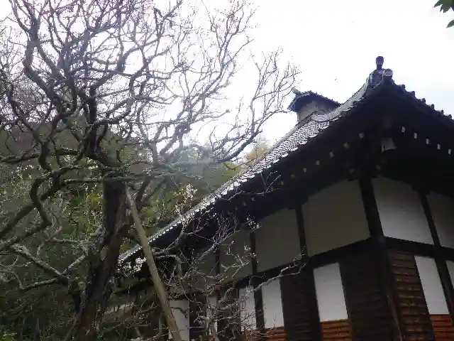 光則寺の本殿・本堂