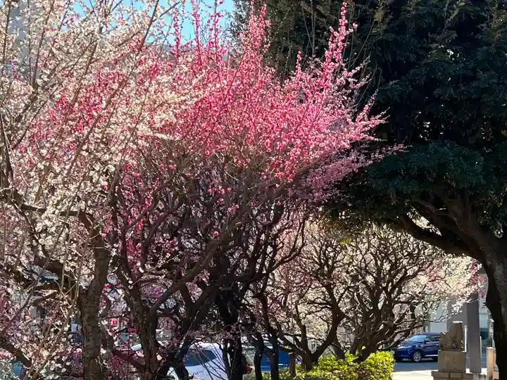 新井天神北野神社(東京都)