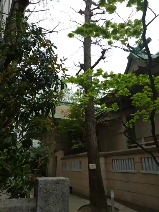 銀杏岡八幡神社(東京都)