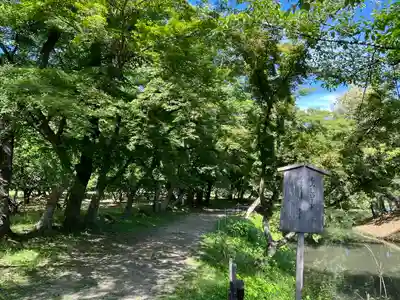 大覚寺(京都府)