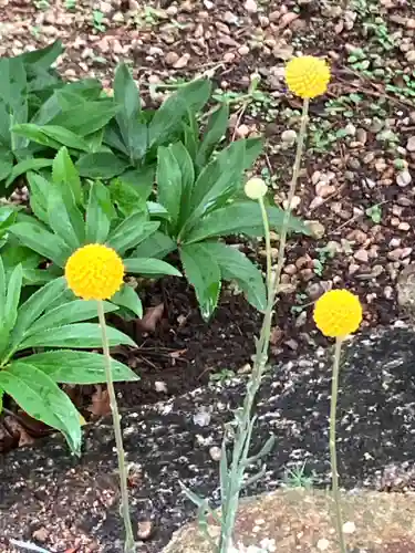 水堂須佐男神社(兵庫県)