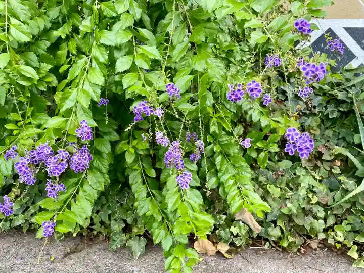 感應寺(東京都)