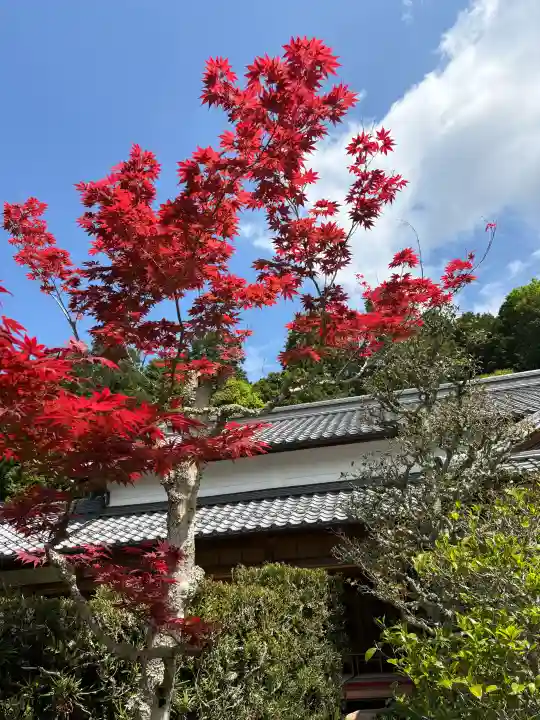 大池寺の{uncategorized: "未分類", other: "その他", undefined: "問題あり", building: "その他建物", grave: "お墓", sacred_gate: "鳥居", guardian: "狛犬", statue: "像", buddha: "仏像", history: "歴史", nature: "自然", garden: "庭園", animal: "動物", pagoda: "塔", temizu: "手水舎", mountain_gate: "山門・神門", sanctuary: "本殿・本堂", subordinate: "末社・摂社", art: "芸術", scenery: "景色", jizo: "地蔵", ema: "絵馬", goshuin: "御朱印", omikuji: "おみくじ", items: "授与品その他", amulet: "お守り", goshuincho: "御朱印帳", eats: "食事", festival: "お祭り", votive_dance: "神楽", shichigosan: "七五三参", wedding: "結婚式", experience: "体験その他", initially: "初詣", around: "周辺", anti_infection: "感染症対策"}