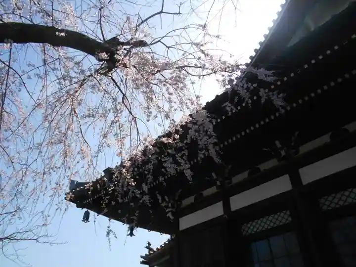 本覚寺のその他建物