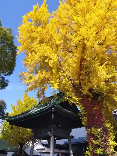 長慶寺(福井県)