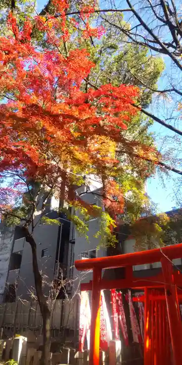 若宮八幡社(愛知県)