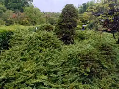 勧修寺(京都府)