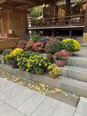 平塚八幡宮(神奈川県)